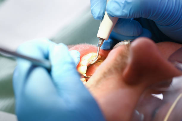 Best Emergency Pediatric Dental Care in Mound Bayou, MS